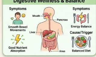 Daily Habits for Optimal Digestive Health & Gut Healing - Dr. Rohit, BHMS